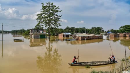 Assam Flood Update