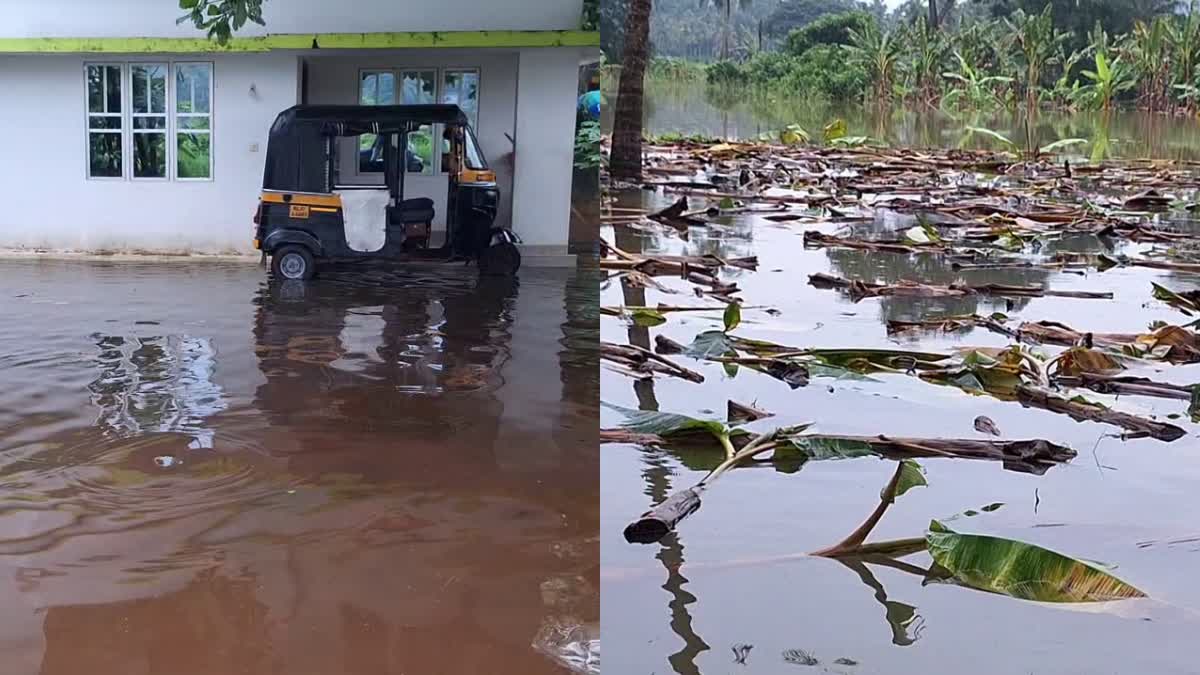 HEAVY RAIN IN KERALA  HEAVY RAINFALL IN KOZHIKODE  കോഴിക്കോട് കനത്തമഴ