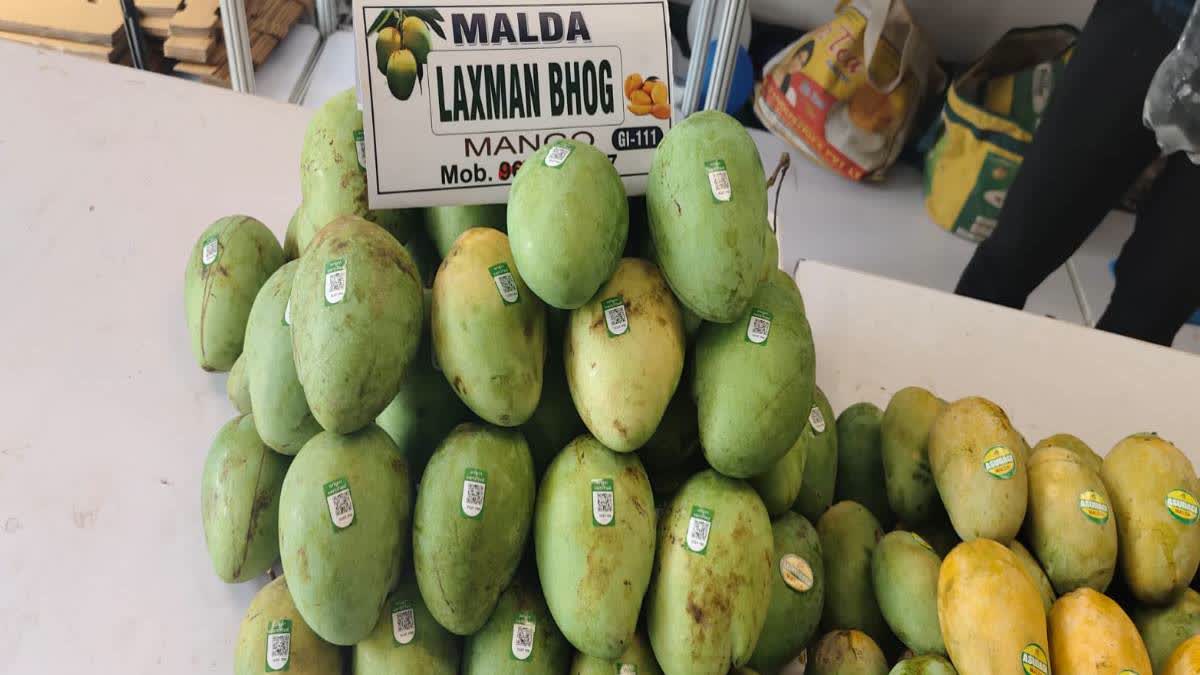 QR Code in Malda Mangoes