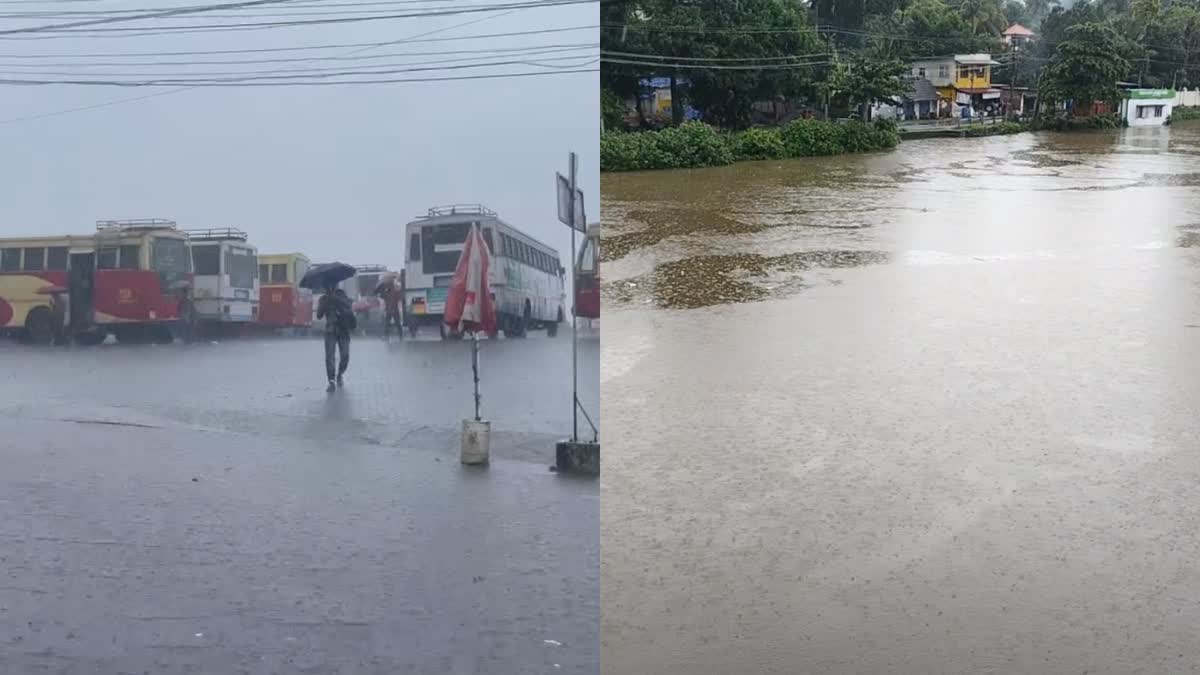 കോട്ടയത്ത് കനത്ത മഴ  HEAVY RAIN IN KOTTAYAM  RAIN ISSUES  കോട്ടയം മഴക്കെടുതി