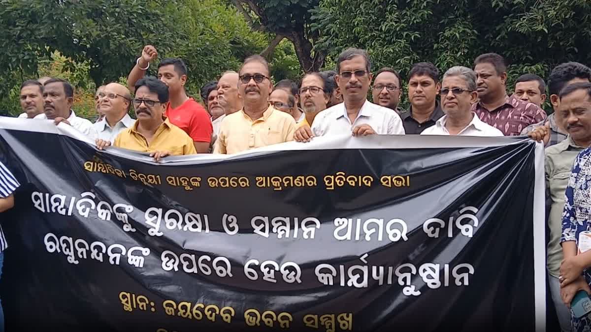 JOURNALISTS PROTEST AGAINST RAGHUNANDAN