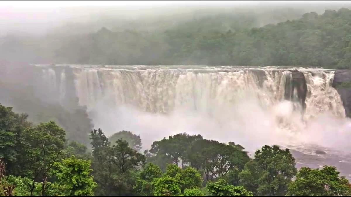 അതിരപ്പിള്ളി വെള്ളച്ചാട്ടം  ATHIRAPPILLY RAIN  അതിരപ്പിള്ളി മഴ  HEAVY RAIN IN THRISSUR