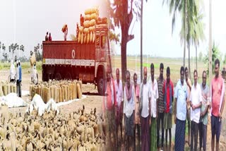 YSRCP Government has Not Paid Grain Dues to Farmers