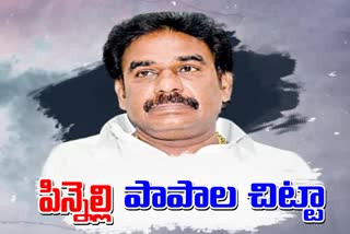 Pinnelli Ramakrishna Reddy Anarchies