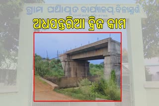 ଅଧପନ୍ତରିଆ ଅବସ୍ଥାରେ ଆପ୍ରୋଜ ବ୍ରିଜ; ଗଲାଣି ଚାରି ଜୀବନ, ଅସନ୍ତୋଷ ସ୍ଥାନୀୟବାସୀ