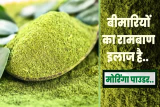 Moringa Powder Benefits