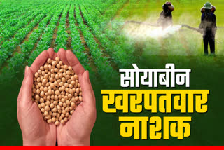 SOYBEAN MEIN KHARPATWAR NIYANTRAN