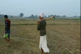 Farmers Migrating In Buxar