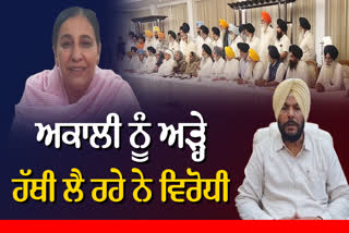 Rebellion in Shiromani Akali Dal