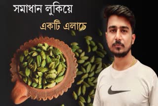 Cardamom Vaastu Tips News