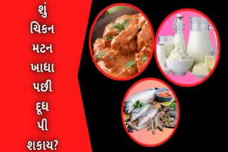 Etv Bharatનોન વેજ ખાધા પછી દૂધ પી શકાય કે નહીં