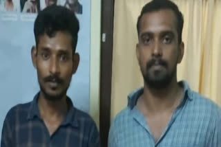 DRUG TRAFFICKING  കഞ്ചാവും ഹാഷിഷ് ഓയിലും കടത്തി  GANJA HASHISH OIL SALE IN KERALA  GANJA CASE ARREST