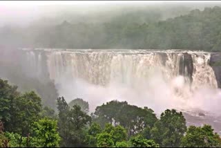 അതിരപ്പിള്ളി വെള്ളച്ചാട്ടം  ATHIRAPPILLY RAIN  അതിരപ്പിള്ളി മഴ  HEAVY RAIN IN THRISSUR