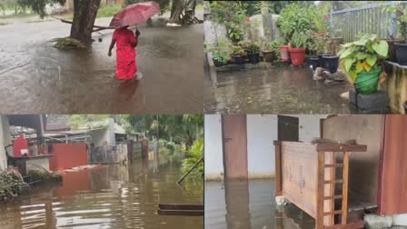 കുട്ടനാട്ടിൽ മഴ  HEAVY RAINS IN KUTTANAD  FLOOD ALAPPUZHA KUTTANADU  ആലപ്പുഴയിൽ കനത്തമഴ