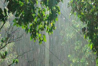 Which district has received the most rainfall in Maharashtra in the last 24 hours?