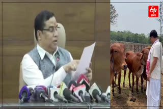 GIR COW AND MINISTER JAYANTA MALLA
