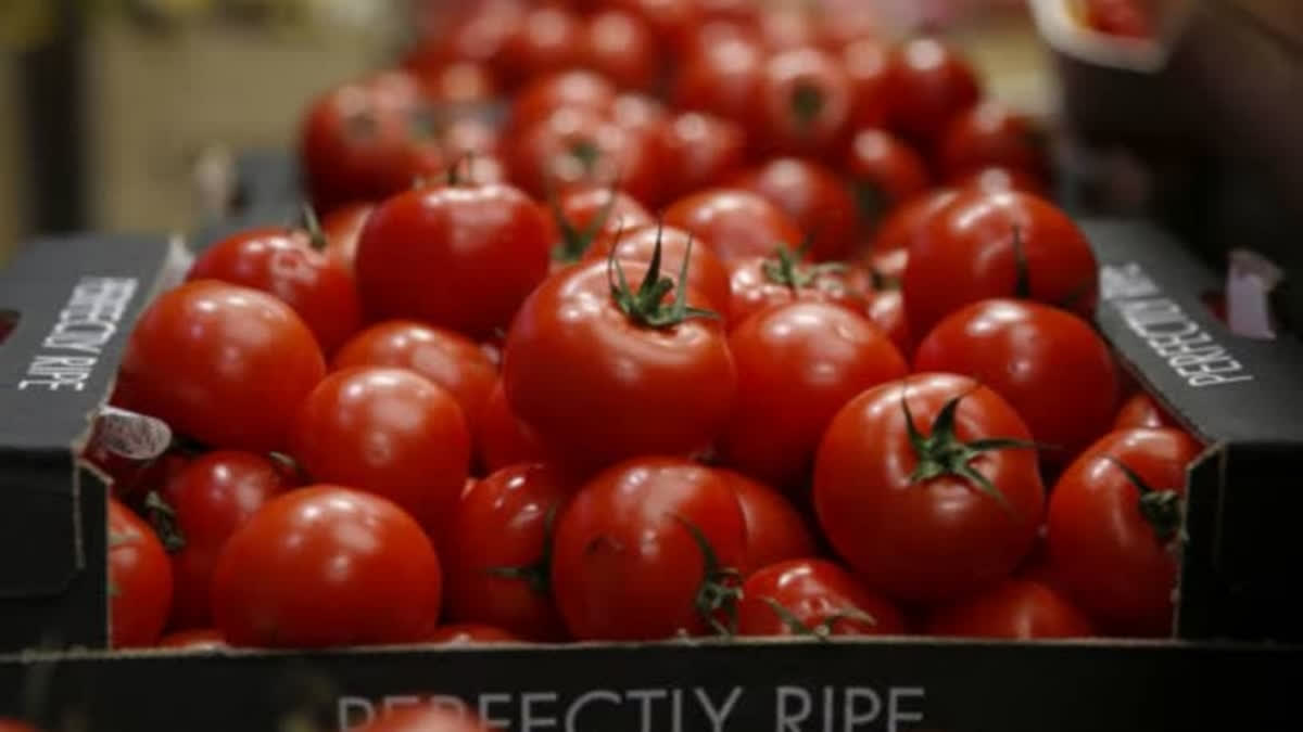 Amid skyrocketing prices, tomatoes in a market of Annamaiya district in Andhra Pradesh was sold at an unprecedented Rs 168 per kg.