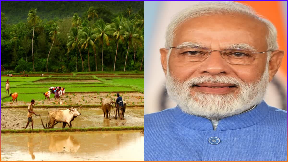 Etv BharatPM Kisan Yojana