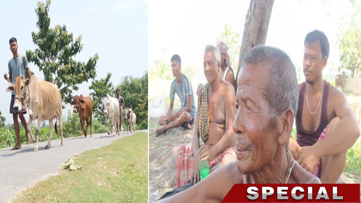 Jalpaiguri Villages