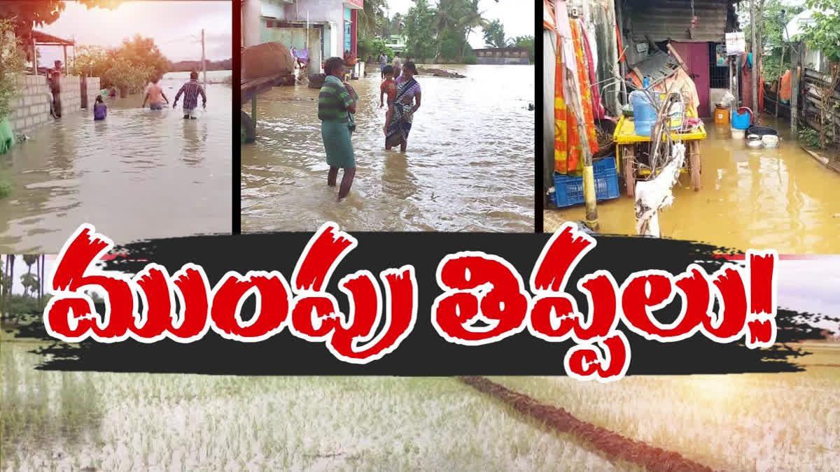 Rains in andhra pradesh