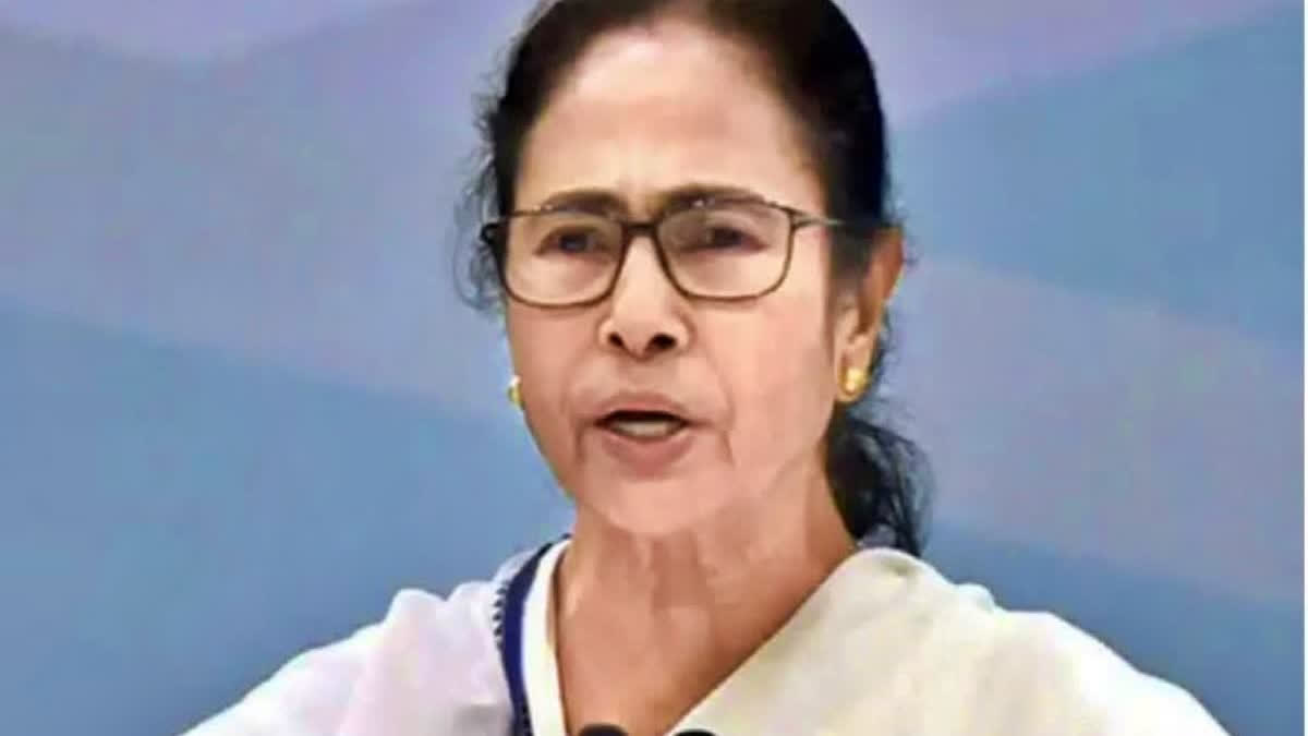 mamata