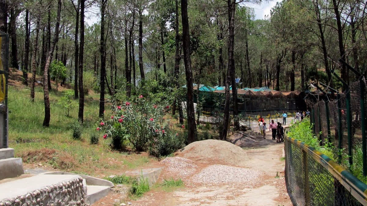 Zoo in Himachal