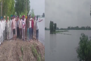Floods destroyed more than 500 acres of crops in 3 villages of Sultanpur