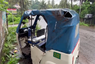 accident students  Auto Accident  Auto rickshaw overturned  Auto rickshaw carrying school children overturned  Kasaragod school students accident  ഓട്ടോറിക്ഷ മറിഞ്ഞു  ഓട്ടോറിക്ഷ അപകടം  സ്‌കൂൾ കുട്ടികളുമായി പോയ ഓട്ടോറിക്ഷ മറിഞ്ഞു  അപകടം