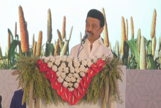 cm stalin said kuruvai cultivation special package scheme deadline extended till august 15