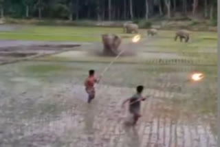 An incident of conflict between humans and elephants in the Harimura Daikata village of Goalpara on Thursday was recorded on the mobile camera which went viral