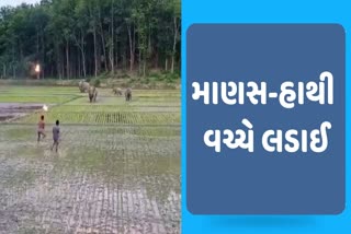 ગ્રામજનોની પાછળ પડ્યા હાથીઓ