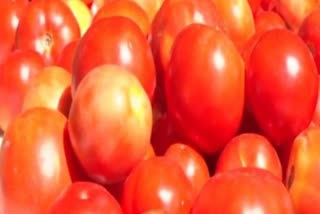 tomato price hike  adilabad district  telengana  Tomato price hike  തക്കാളി വില  റെക്കോര്‍ഡിട്ട് തക്കാളി വില  റയ്‌ത്തു ബസാറില്‍  ആദിലാബാദ്  50 ടണ്‍ തക്കാളി