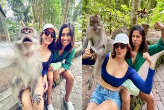 Monkey Selfie With Samantha