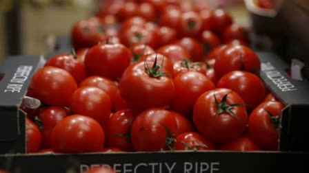 Amid skyrocketing prices, tomatoes in a market of Annamaiya district in Andhra Pradesh was sold at an unprecedented Rs 168 per kg.