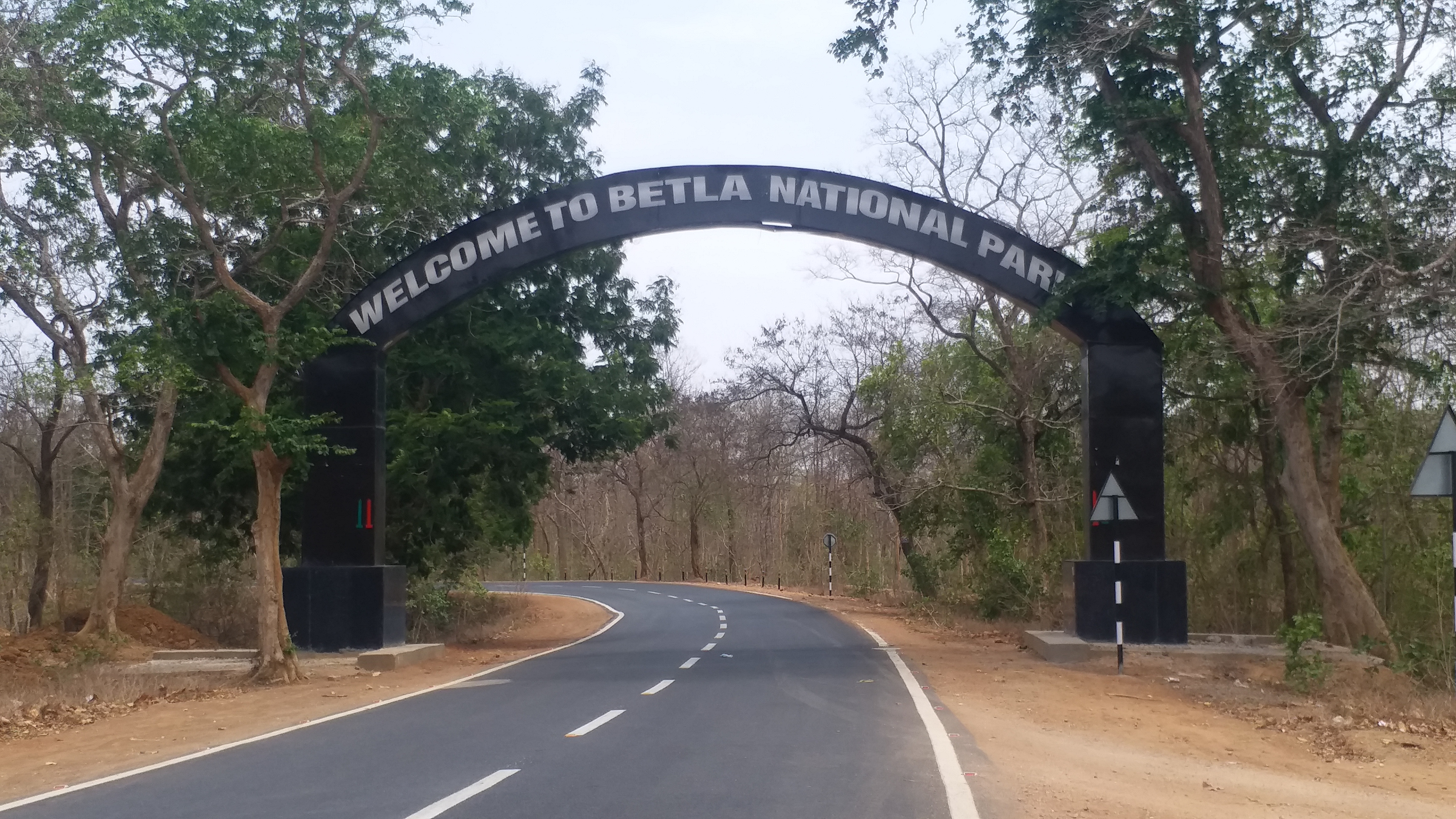 Grasslanda from Sarand to Satpura