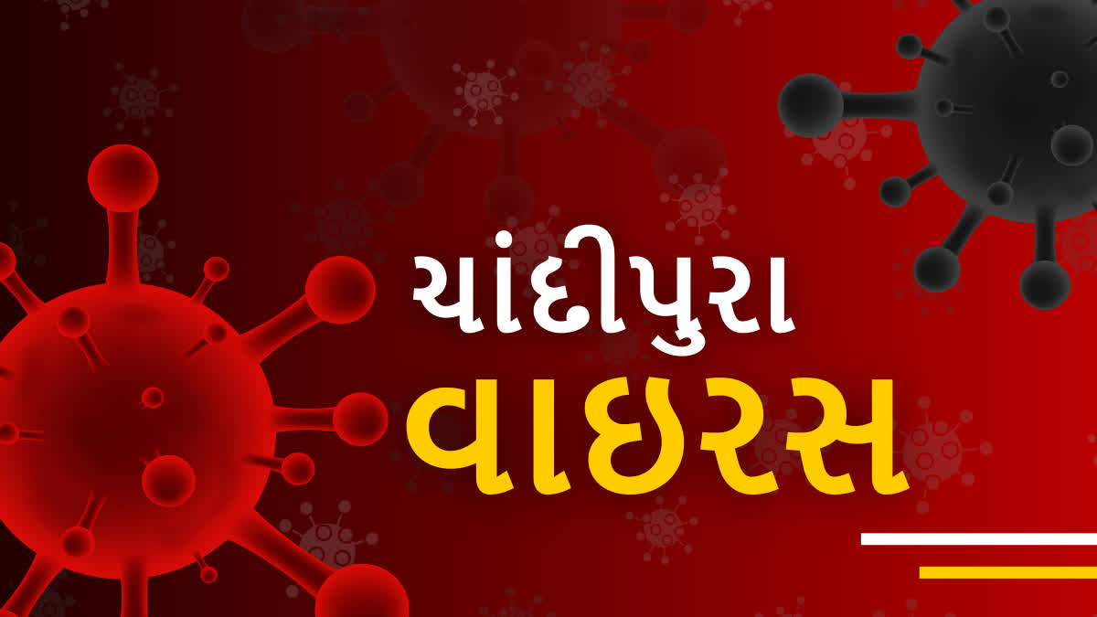 મૃત્યુઆંક વધીને 48 થયો જ્યારે કુલ 127 કેસો નોંધાયા