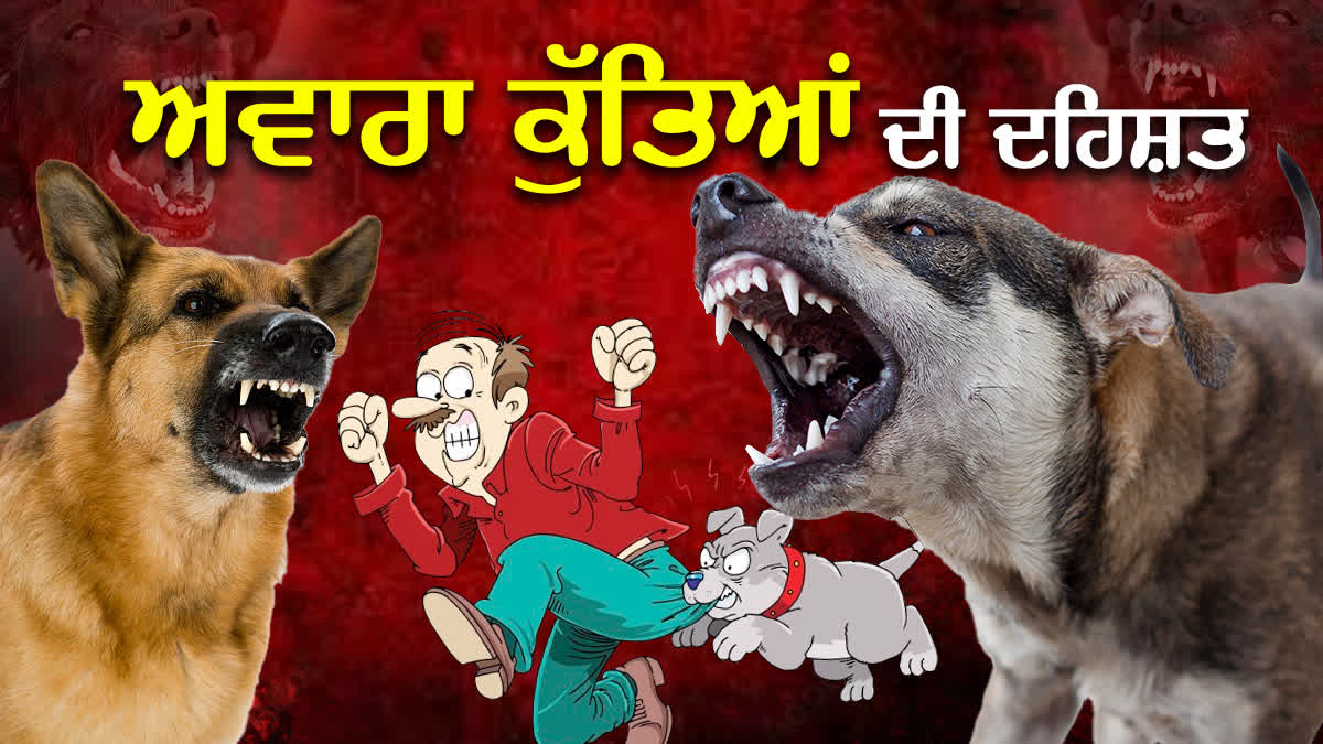 Dog mauled people in Mohali