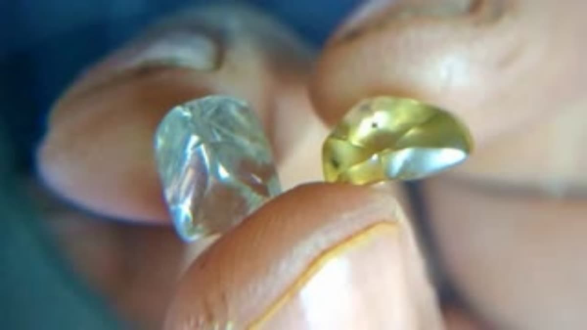 Diamonds Hunting in Andhra Pradesh