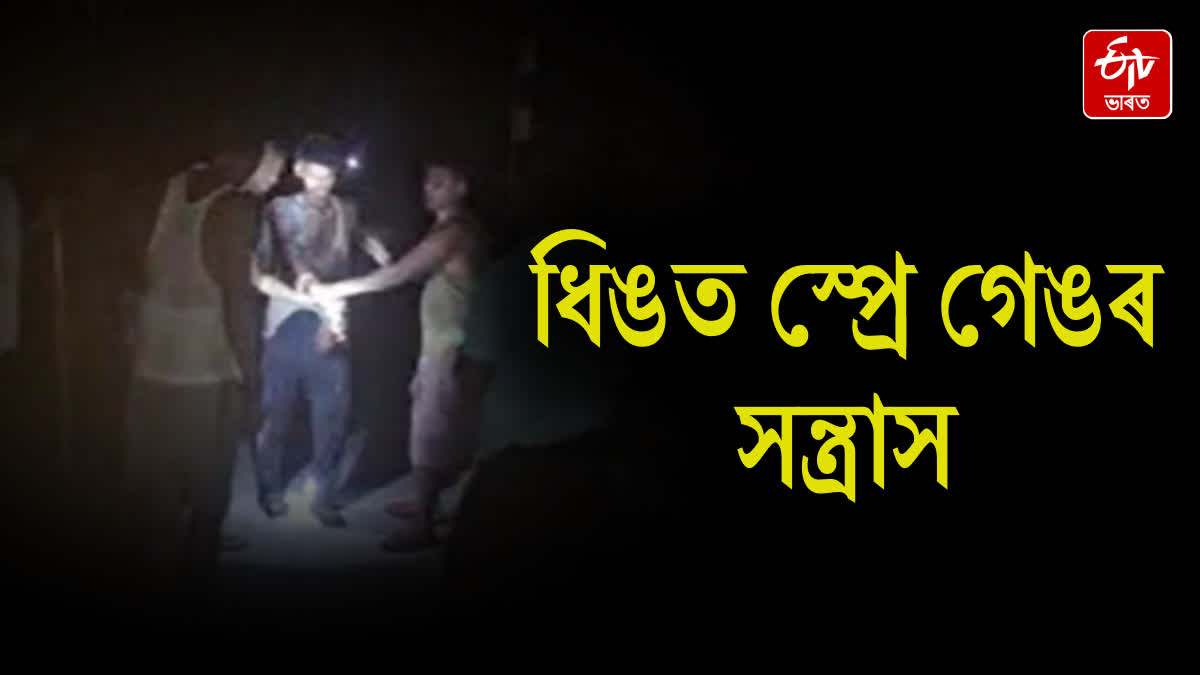 Spray gang terror at Dhing in Nagaon