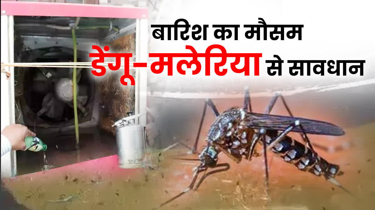 DENGUE MALARIA BEST PRECAUTIONS