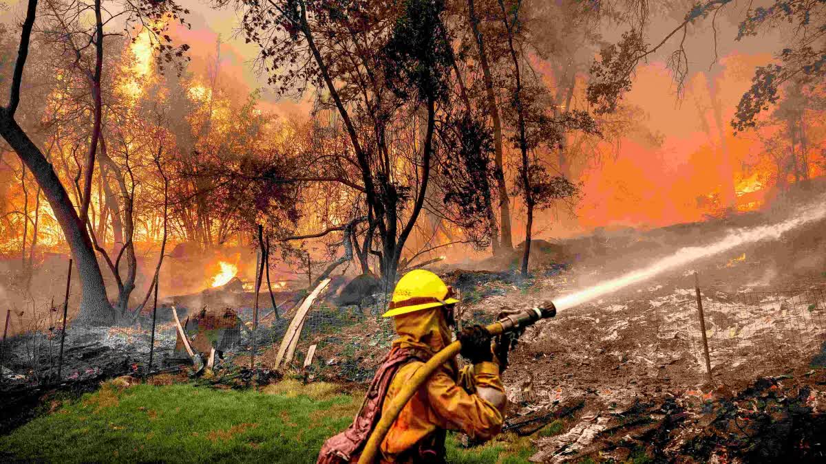 California's largest wildfire explodes in size as fires rage across US West