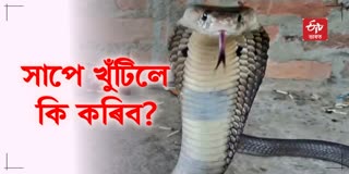Snake Bite Antivenom Available in Kaliabor Sub-divisional Civil Hospital