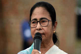 The Calcutta High Court directed that Mamata Banerjee is free to make any statement regarding Governor C V Ananda Bose, not crossing the contours of freedom of speech and public duty.
