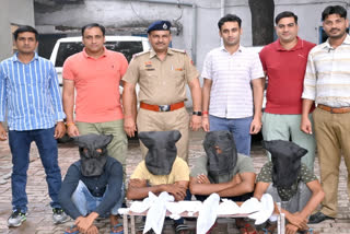 Robbery gang arrested in Panipat