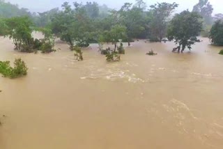 Heavy Flood Flow to Mulugu