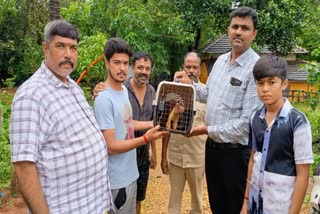 Shivamogga villagers rescued injured Malabar Giant Squirrel and handover to forest department