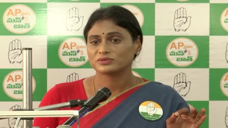 YS Sharmila Counter to YS Jagan Mohan Reddy