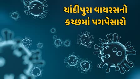 જીલ્લામાં હાલમાં 1 કન્ફર્મ પોઝીટીવ કેસ અને 6 શંકાસ્પદ કેસના બાળદર્દીઓ