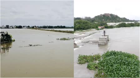 tungabhadra flood