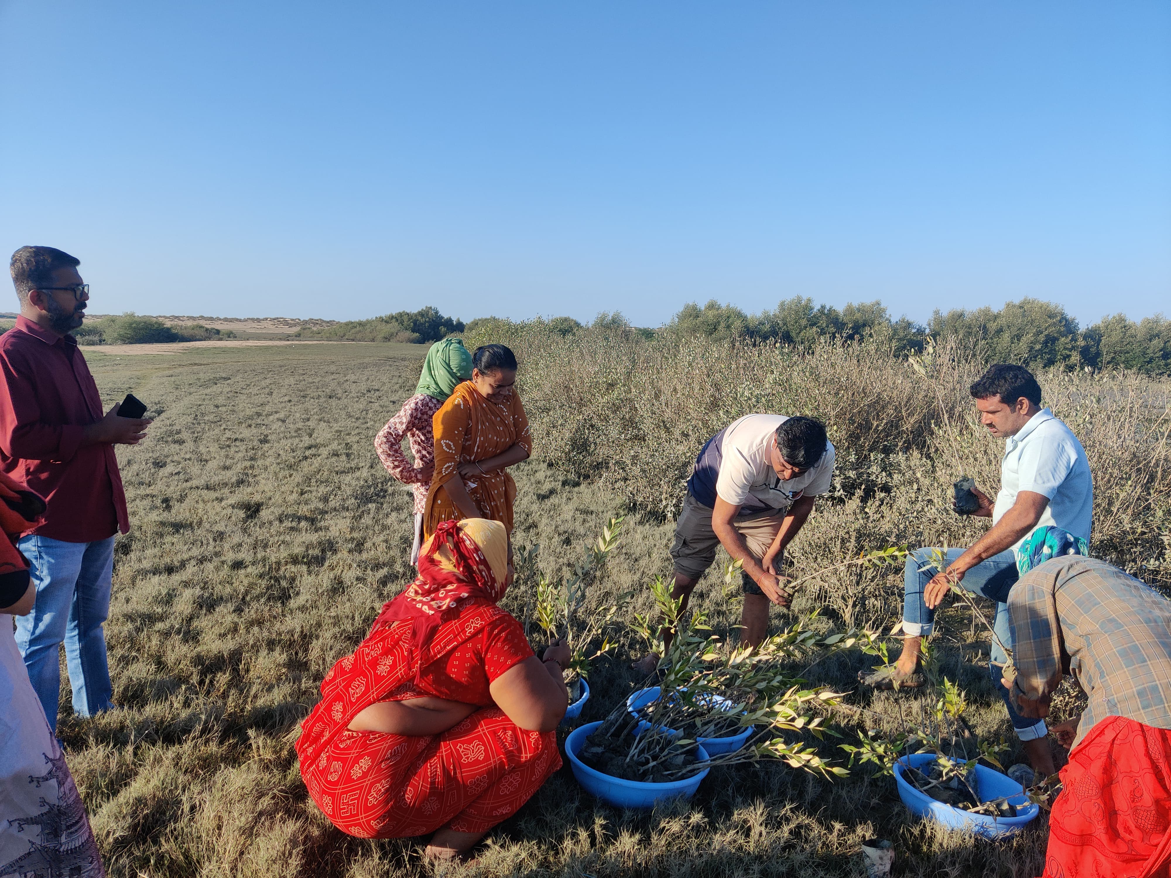 વિશ્વ મેંગ્રુવ સંરક્ષણ દિવસ 2024